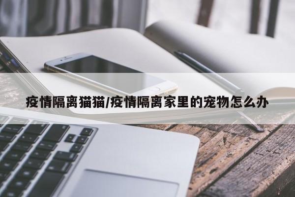 疫情隔离猫猫/疫情隔离家里的宠物怎么办